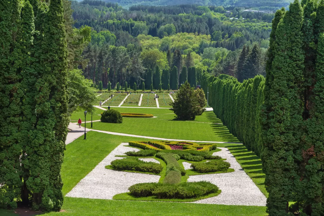 high-angle-view-trees-garden