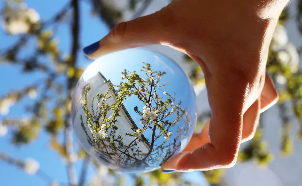 close-up-hand-holding-plant