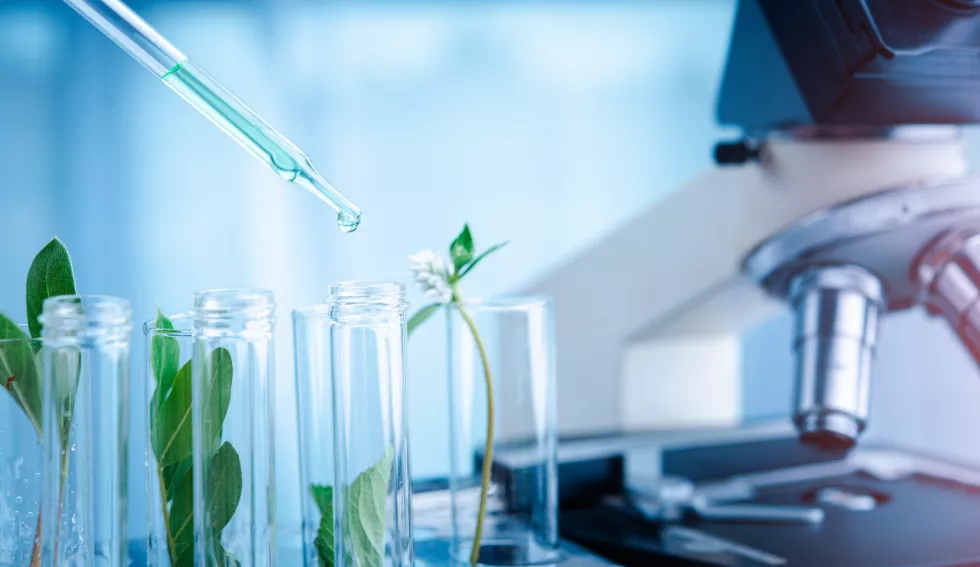 Biotechnologia