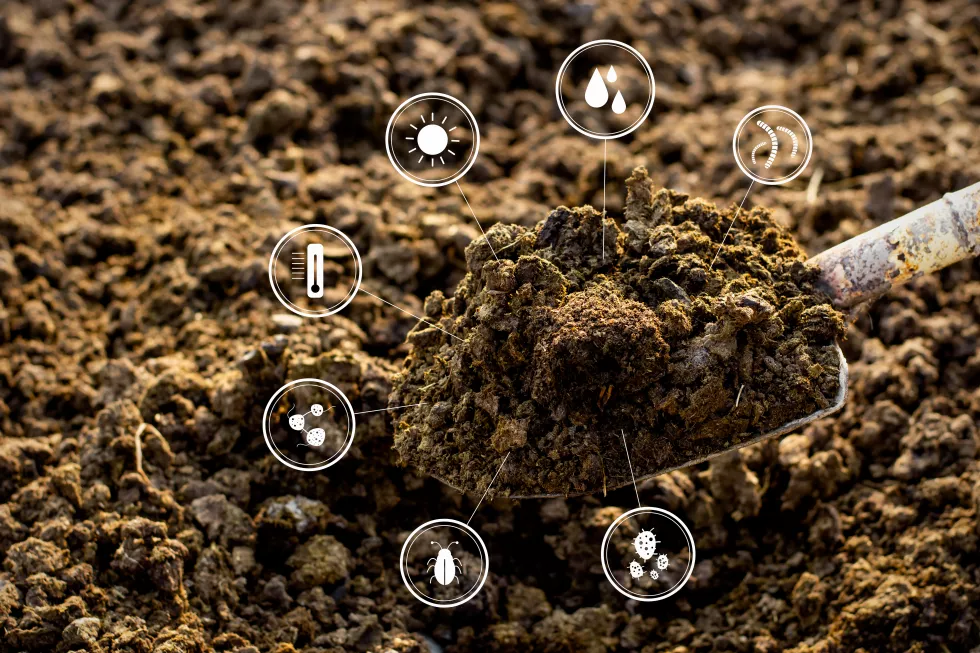manure-with-technology-icon-around-agricultural