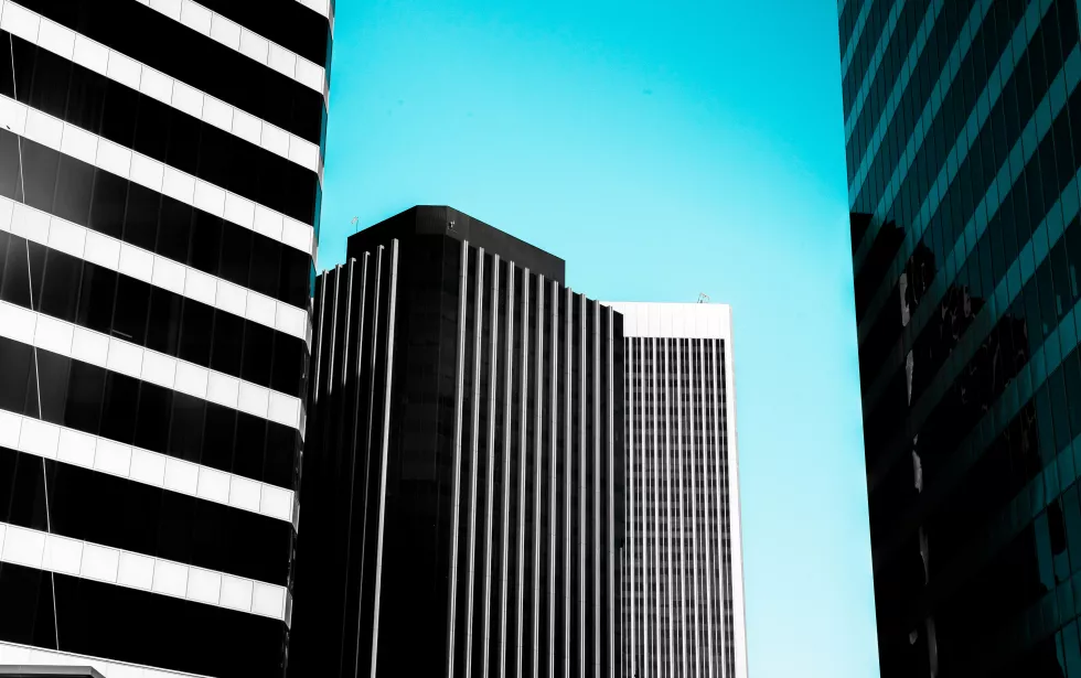 pablo-lara-NjcJhwm8cqc-unsplash