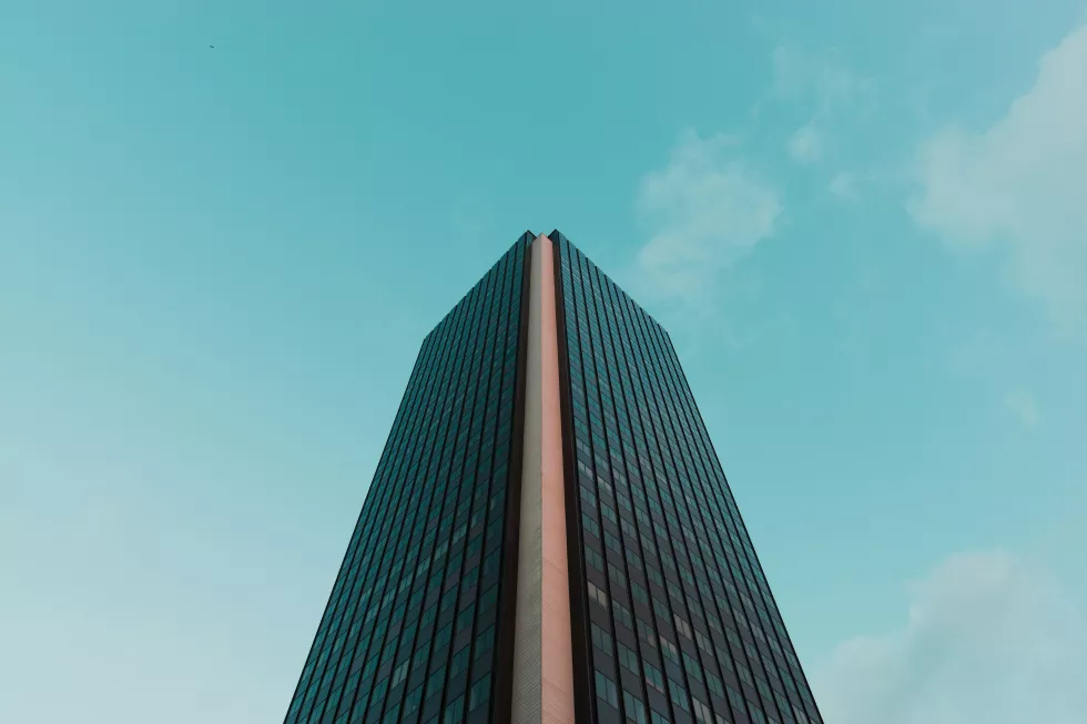 william-bout-TbTgtx7kmes-unsplash