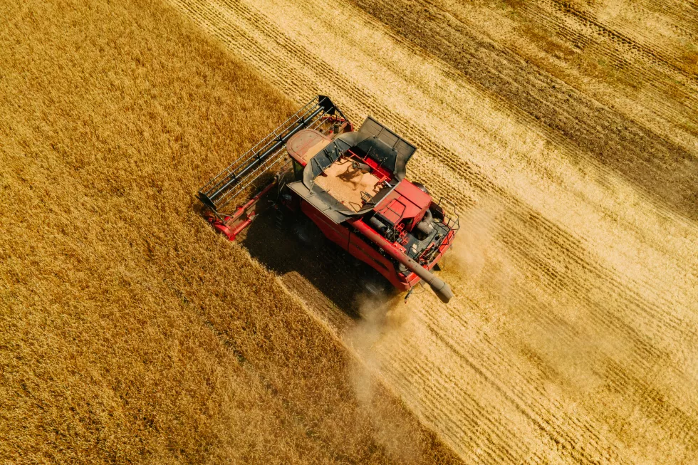 top-view-aerial-view-grain-harvester-gathering-crop-wheat-summer-time-harvester-harvests-wh-2