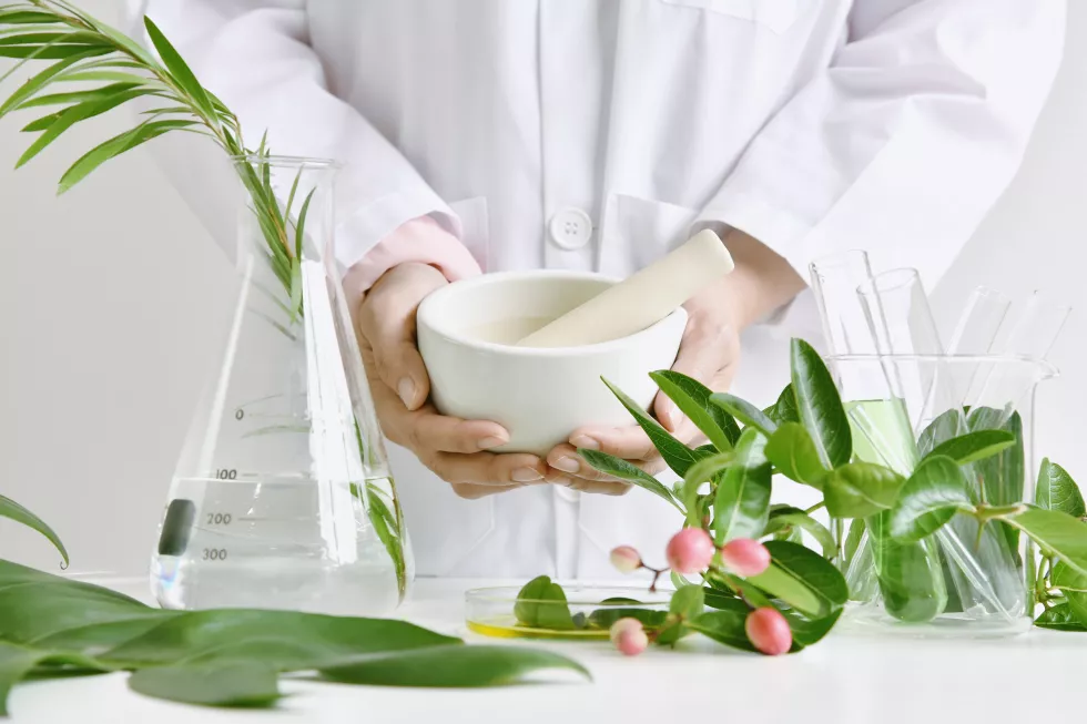alternative-herbal-medicine-mortar-with-healing-botanical-herbs