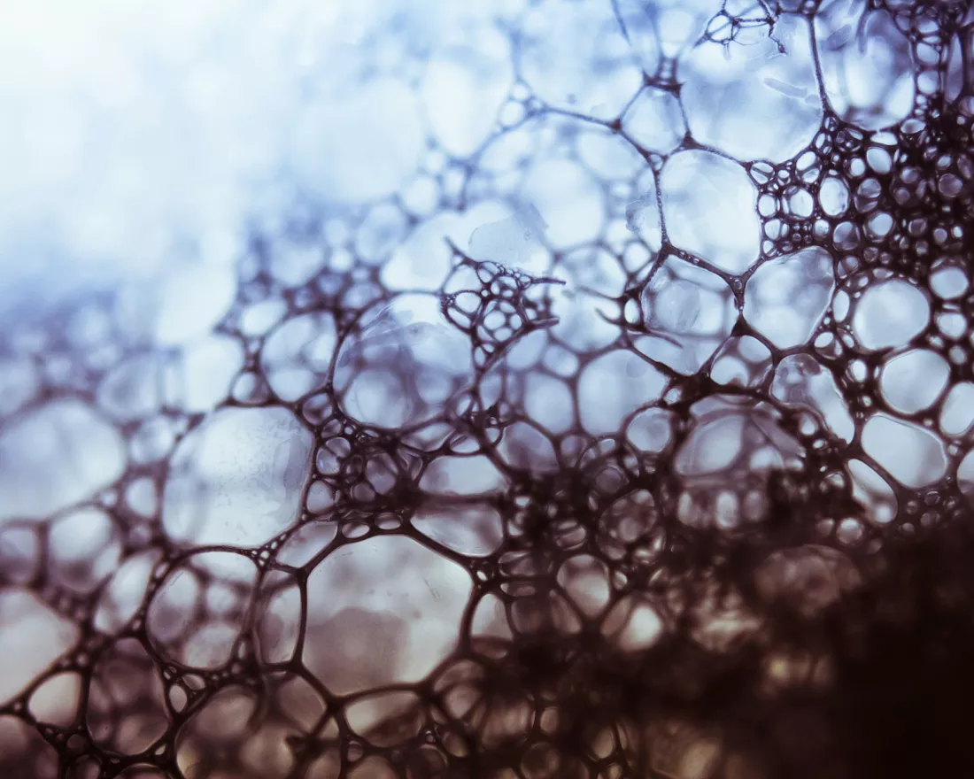 full-frame-shot-tree-against-sky