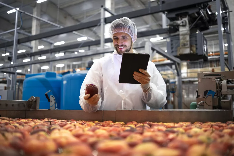 technologist-doing-quality-control-apple-fruit-production-food-processing-plant