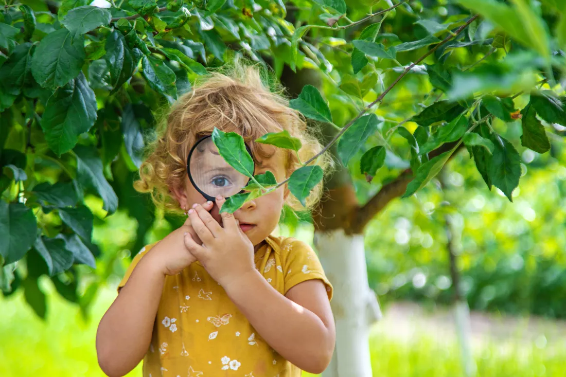 child-studies-nature-with-magnifying-glass-selective-focus-nature