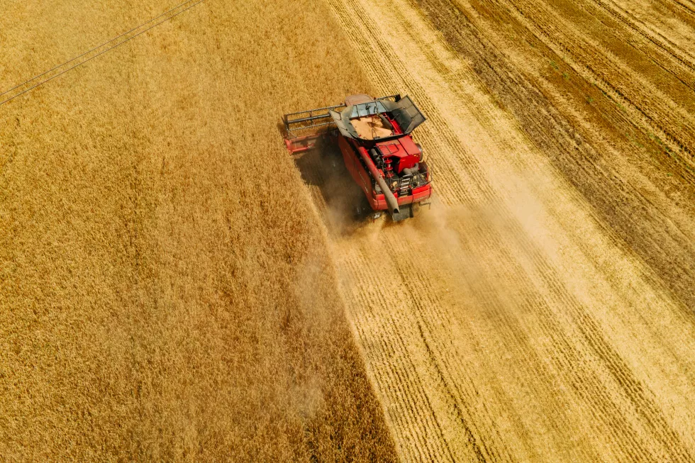 top-view-aerial-view-grain-harvester-gathering-crop-wheat-summer-time-harvester-harvests-wh