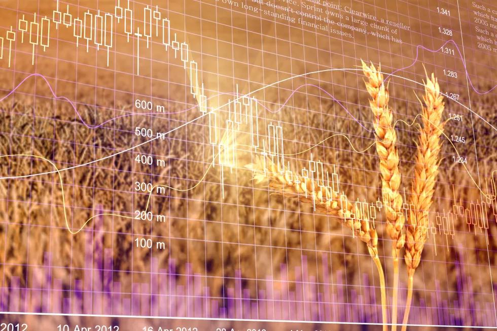 diagram-rising-food-prices-increase-price-wheat-seedson-exchange-quotes
