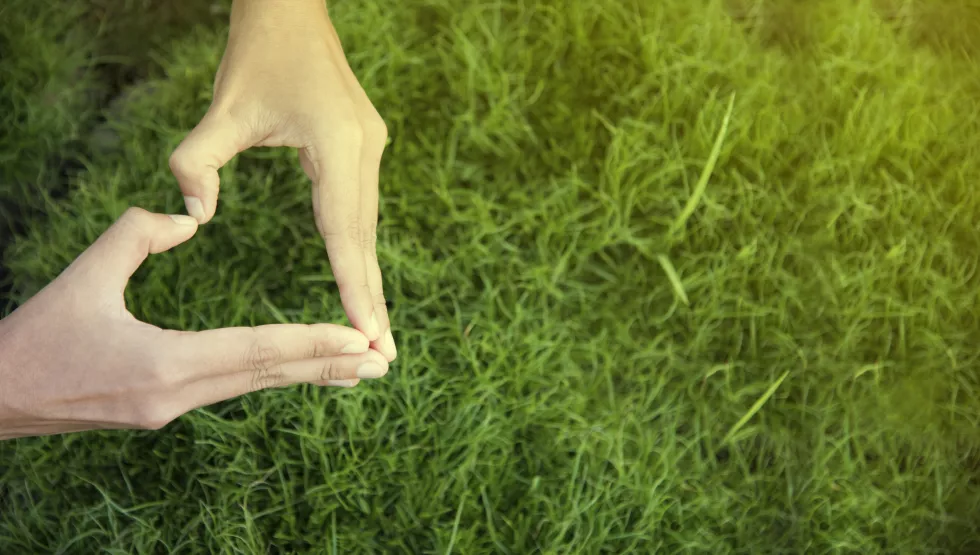 cropped-hand-woman-holding-hands