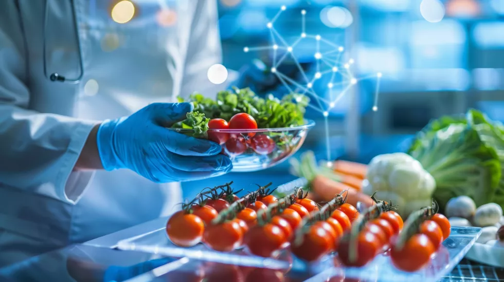 person-holding-bowl-tomatoes-lettuce