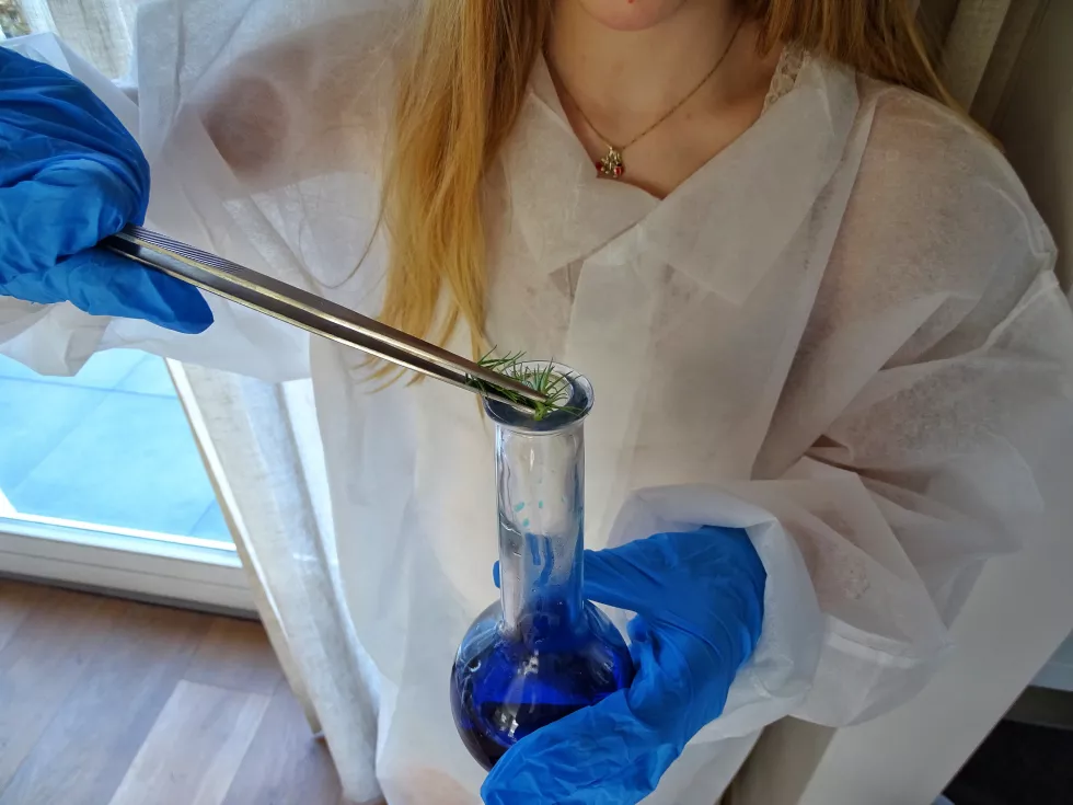 midsection-girl-mixing-plant-chemical(1)