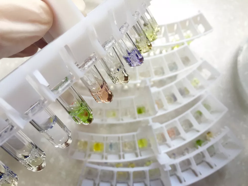Biologiczne podstawy kryminalistyki