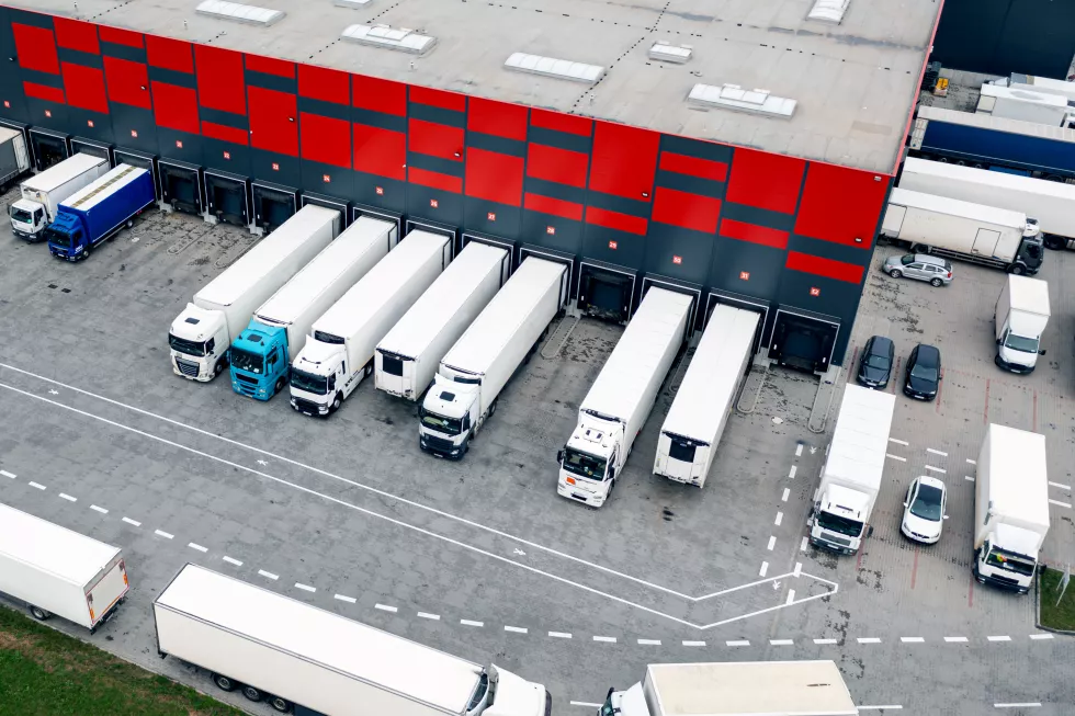 vTransport – przewozy rzeczyosób