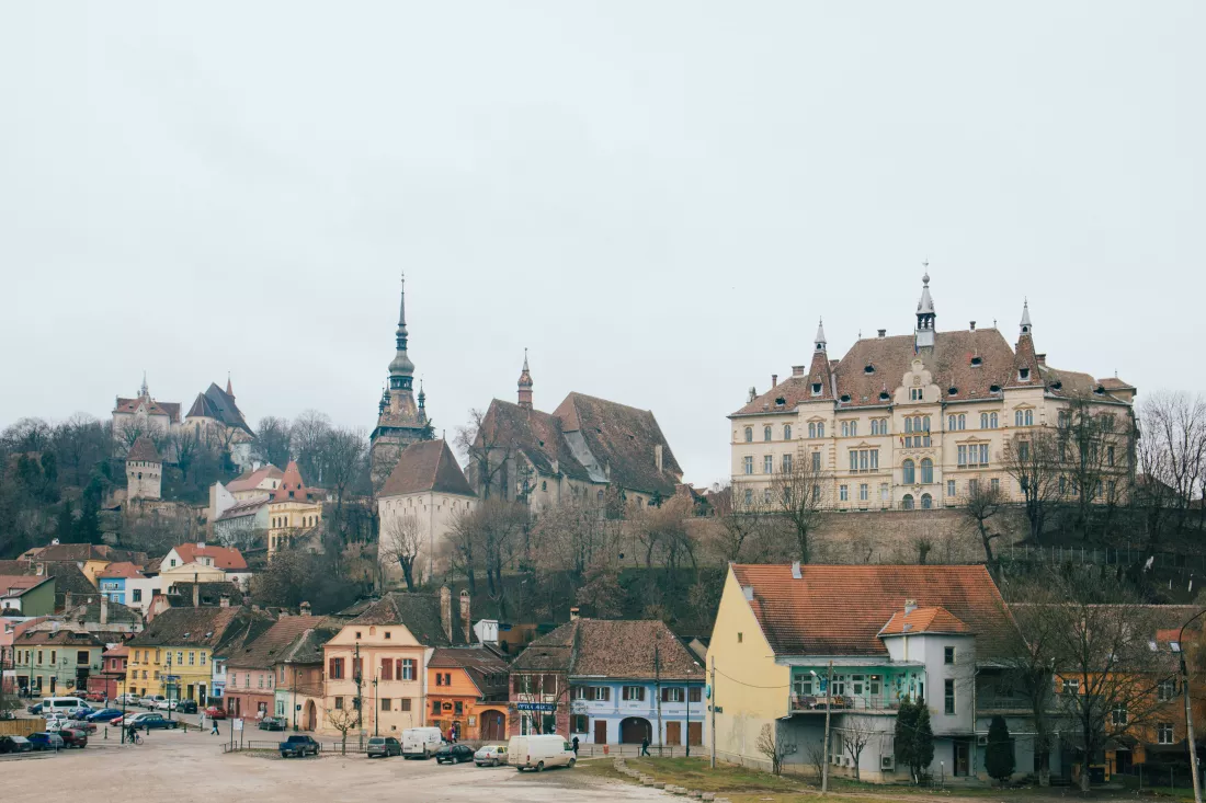 alisa-anton-VJSUSrgN56w-unsplash