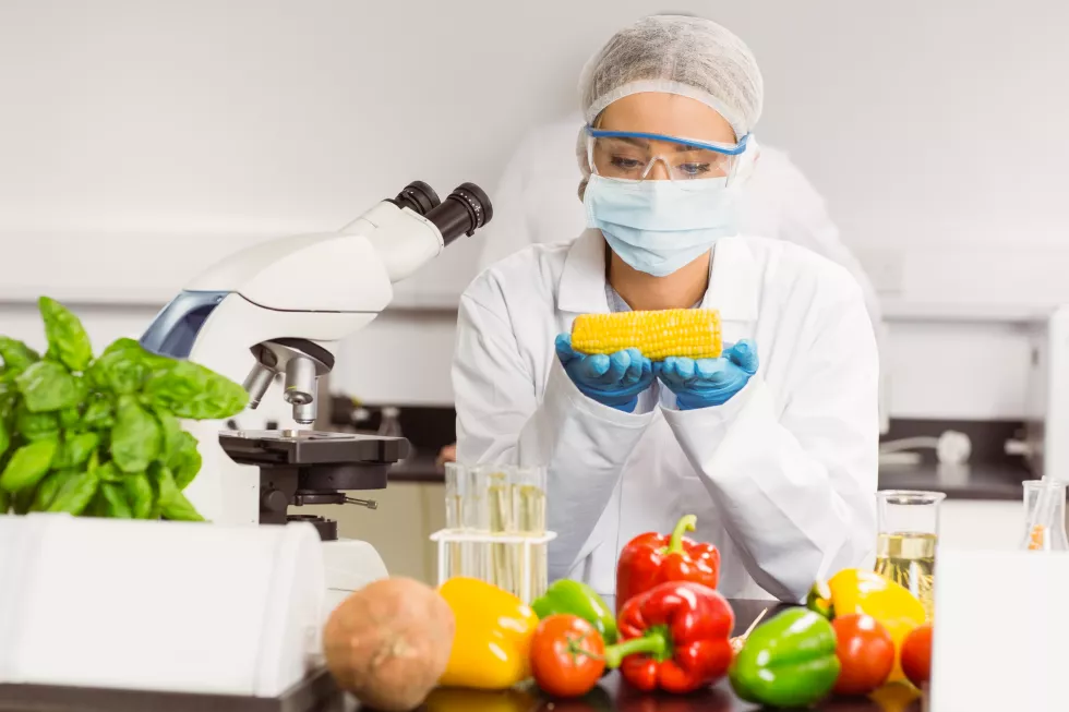 Biotechnologia żywności