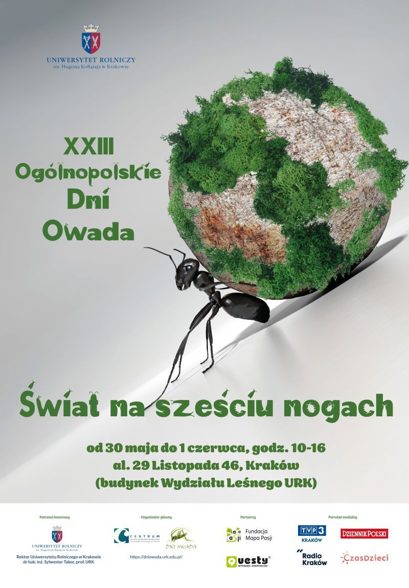 XXIII Ogólnopolskie Dni Owada na URK