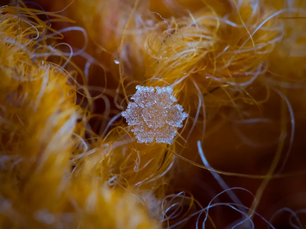 Nanofizyka i naonomateriały