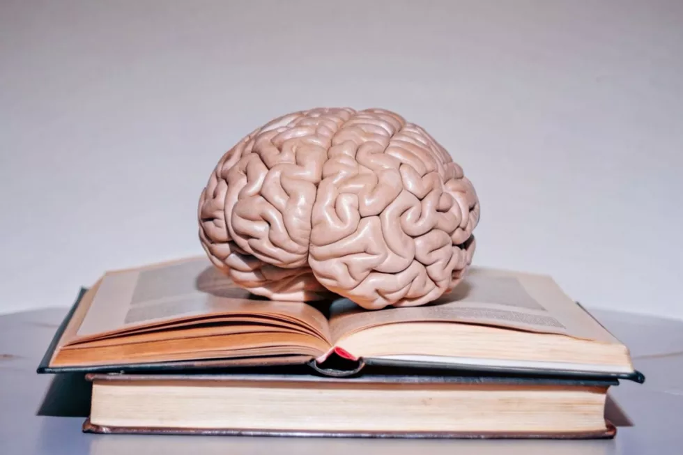book-with-human-brain-top-it