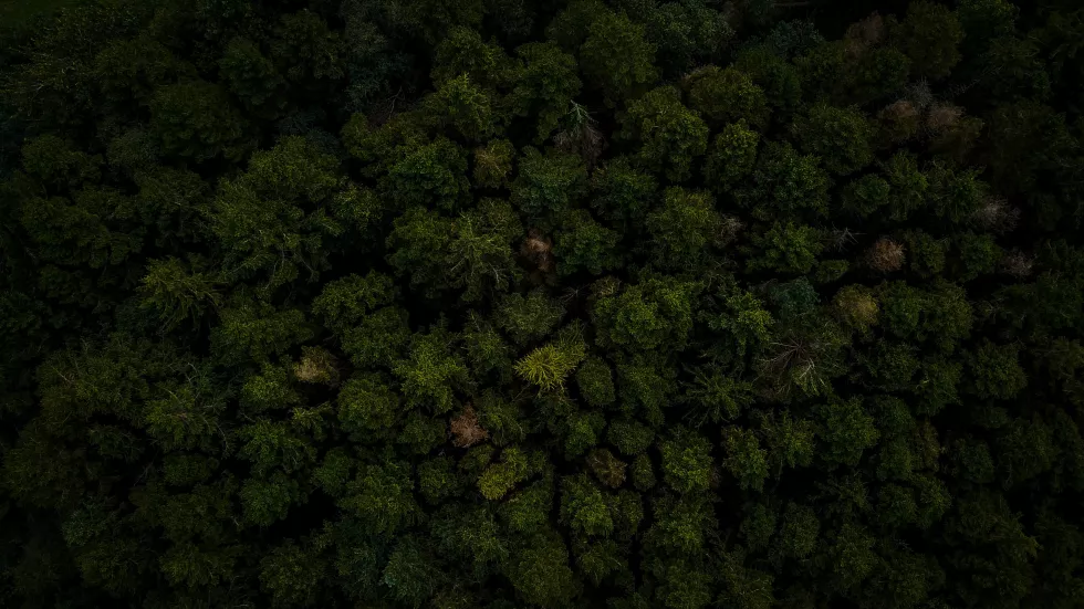 aerial-nomad-aeLTasN9wPo-unsplash