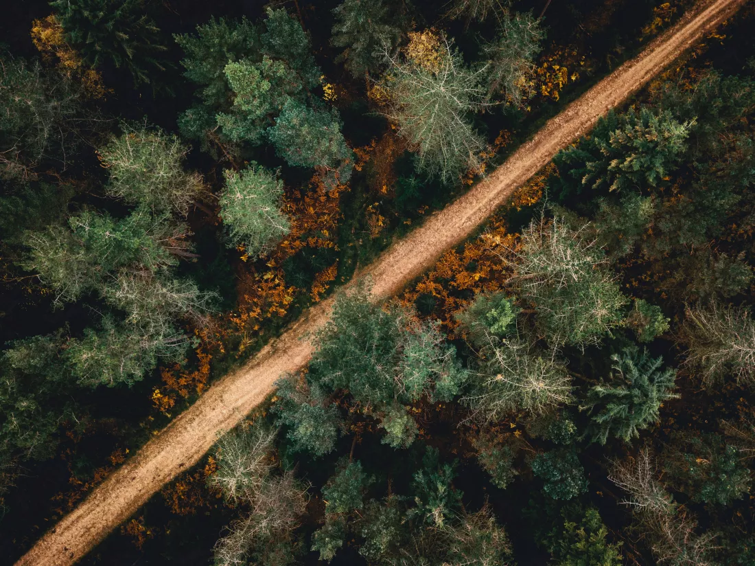 ivan-bandura-g9a9yUb7PVk-unsplash