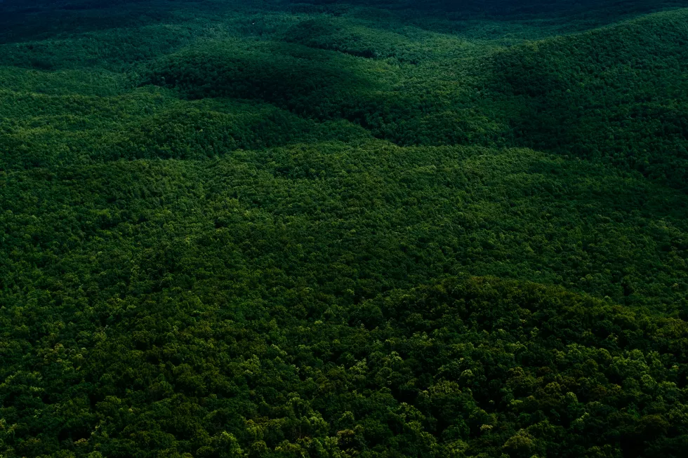 adam-kring-6_azJTdV9xg-unsplash