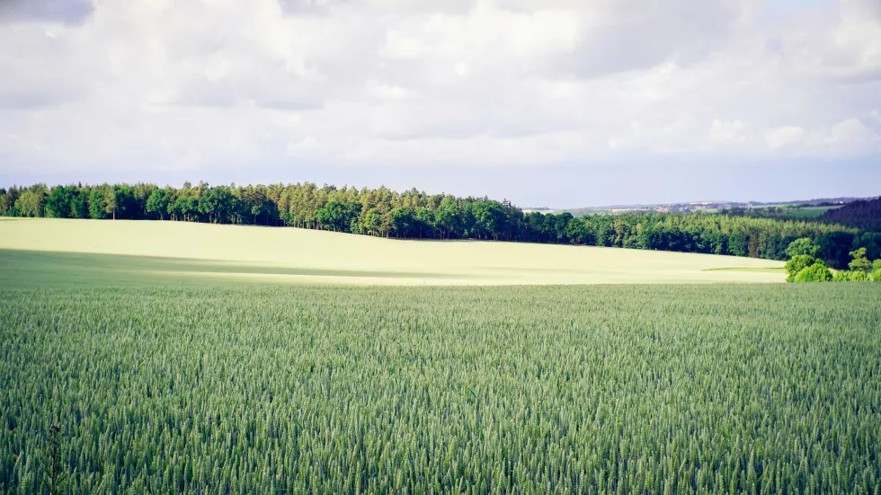 hilthart-pedersen-VFPh3nvbDBk-unsplash