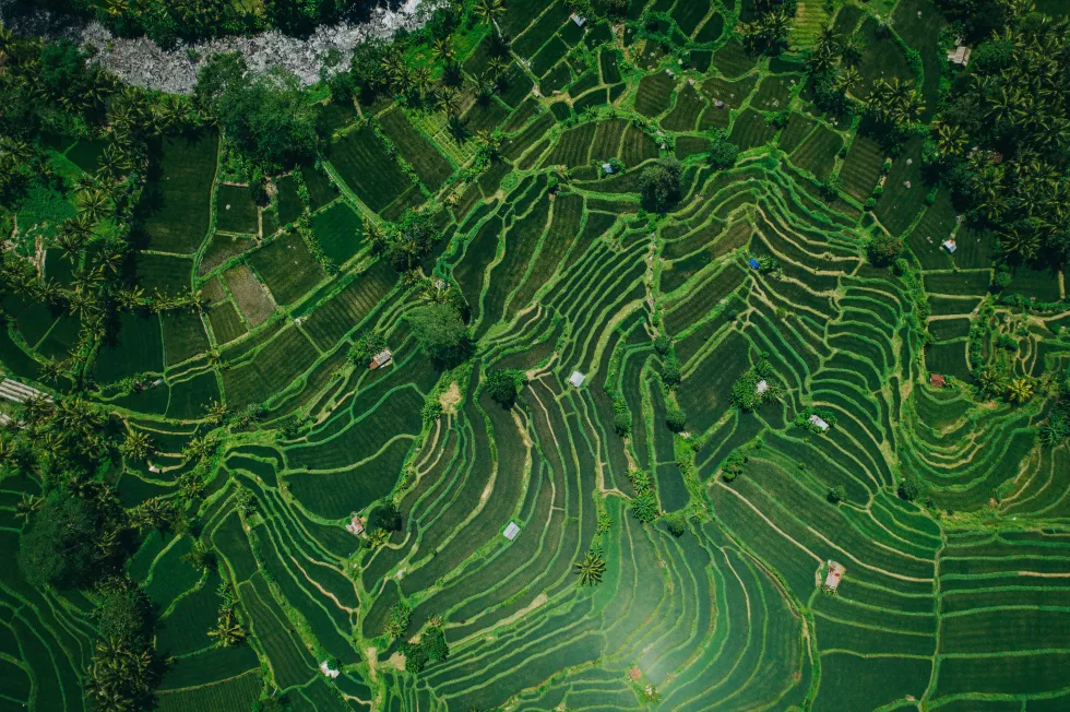 geio-tischler-5VtMfxRGhso-unsplash