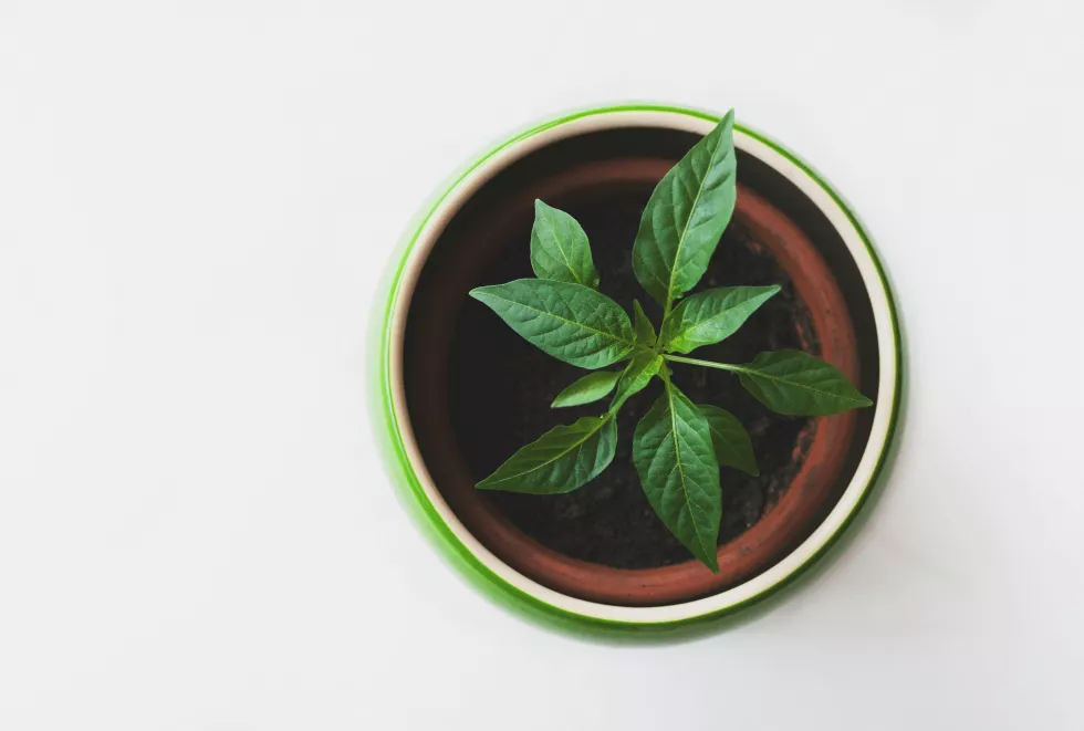 peter-zagar-bLgWa9b0ioY-unsplash