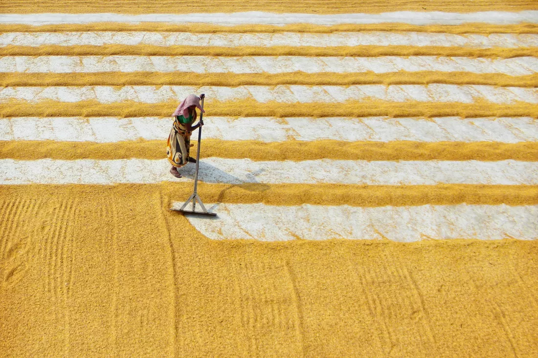 dibakar-roy-jgiaJdwOSSA-unsplash