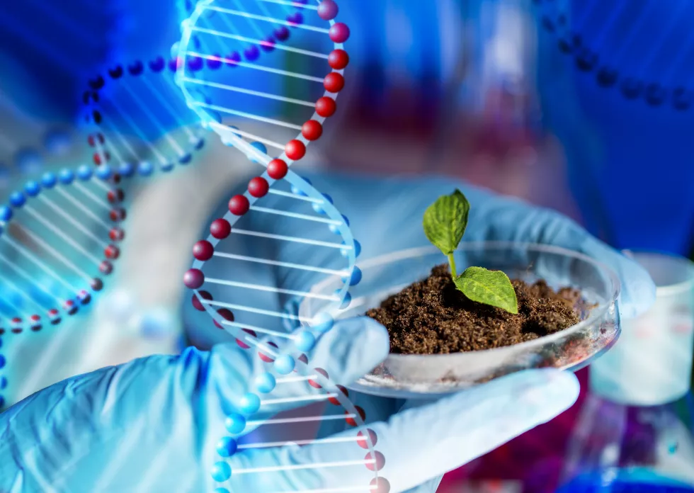 science-biology-ecology-research-people-concept-close-up-scientist-hands-holding-petri-dish-with-plant-soil-sample-bio-laboratory-dna-molecule-structure