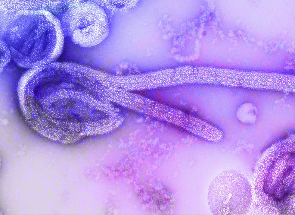 cdc-7CQFCHoFL-o-unsplash