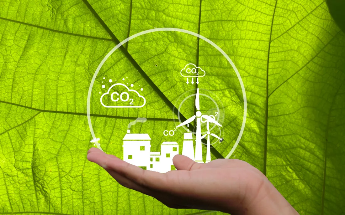 Zarządzanie odnawialnymi źródłami energii study
