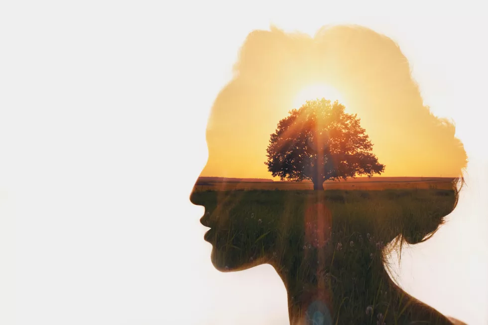 Psychologia dlaczego