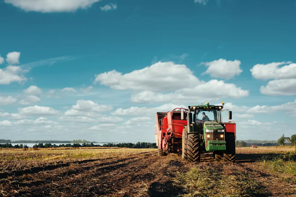 tractor-is-harvesting-potatoes-field-agricultural-industry-image
