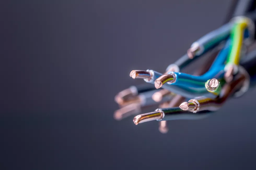 group-colored-electrical-cables-studio-shot
